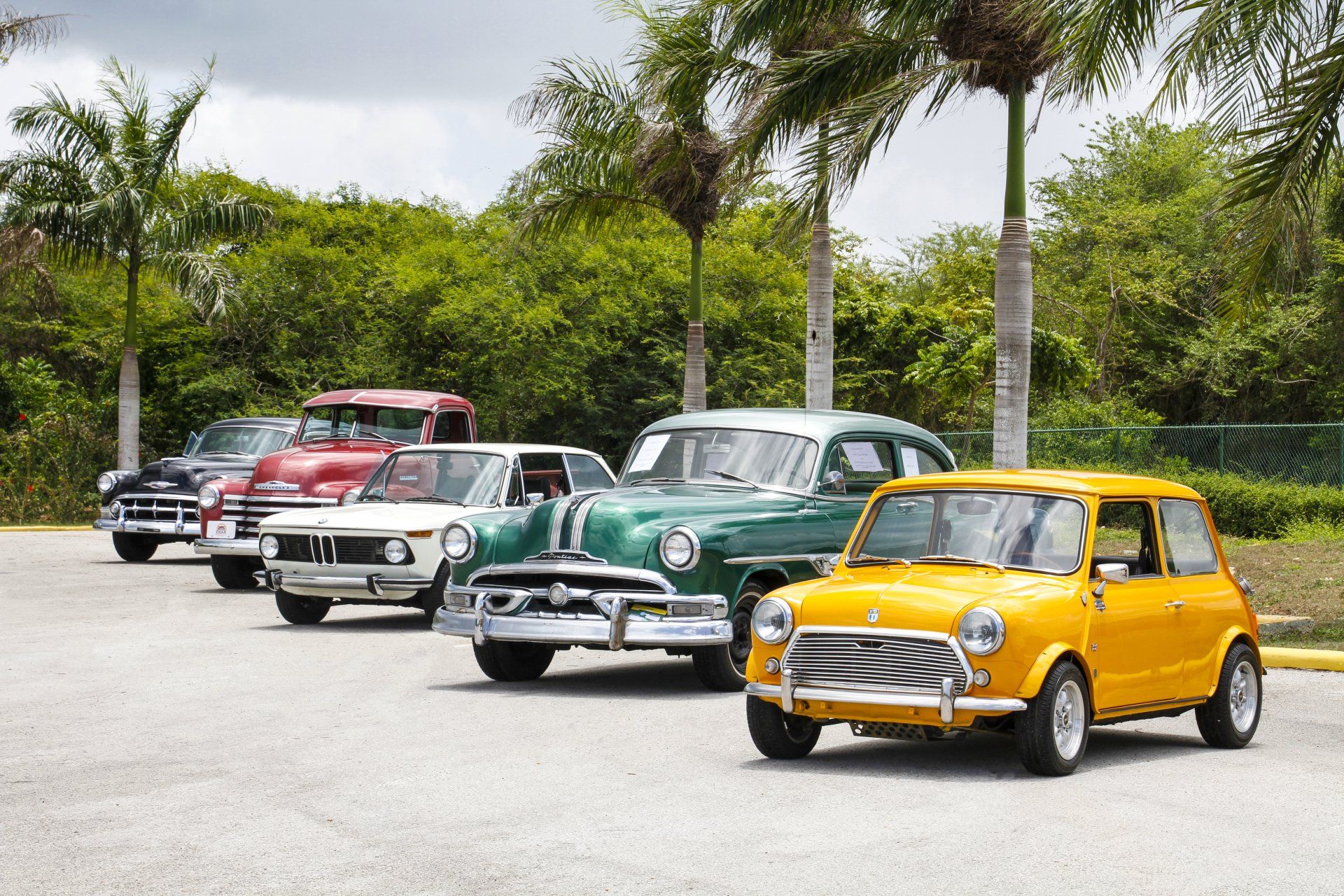 Classic cars parked outdoors, including a yellow mini car in front and palm trees in the background