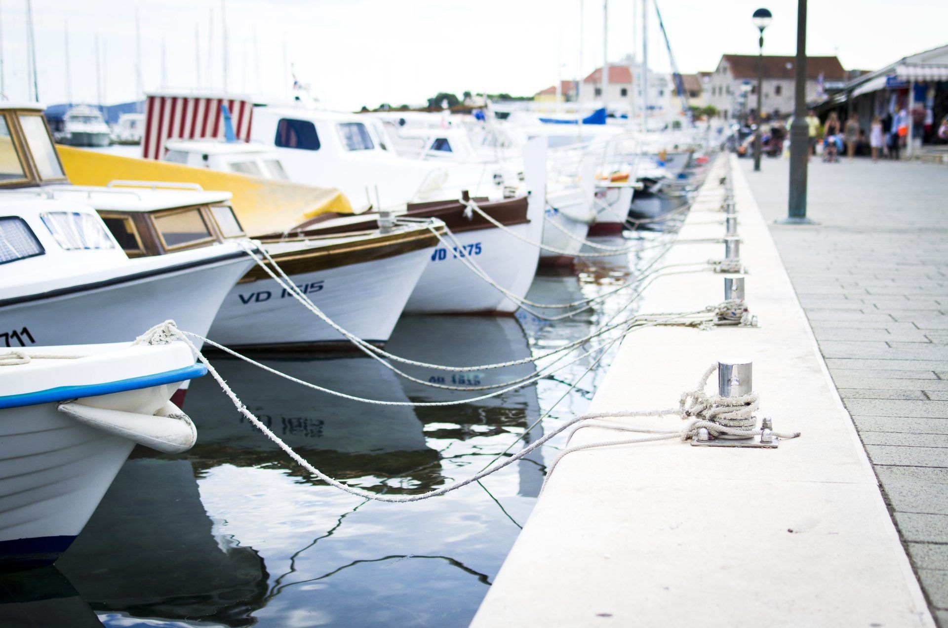 Row of white boats moored at a harbor beside a concrete dock on a calm day