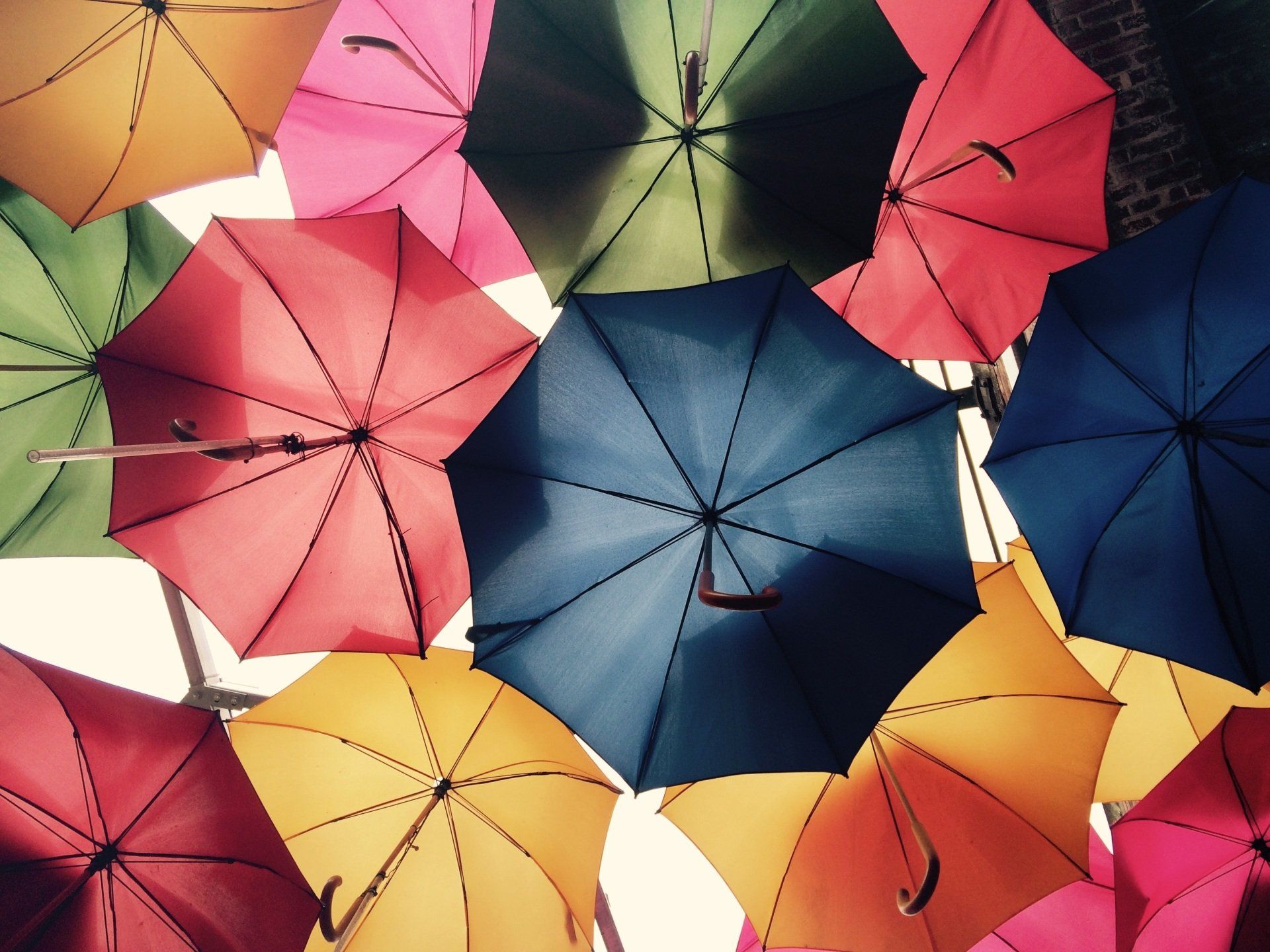 Colorful umbrellas arranged in a tight overhead pattern in red, blue, yellow, and pink.